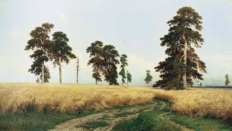 Ivan Shishkin A Rye Field Sweden oil painting art
